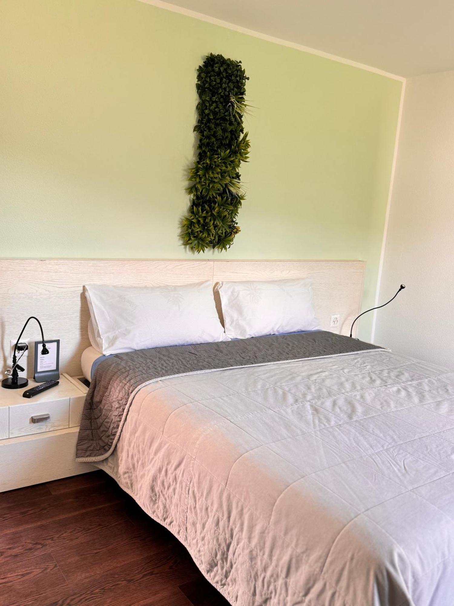 Viva Bacco Bed & Breakfast Gambarogno Bagian luar foto