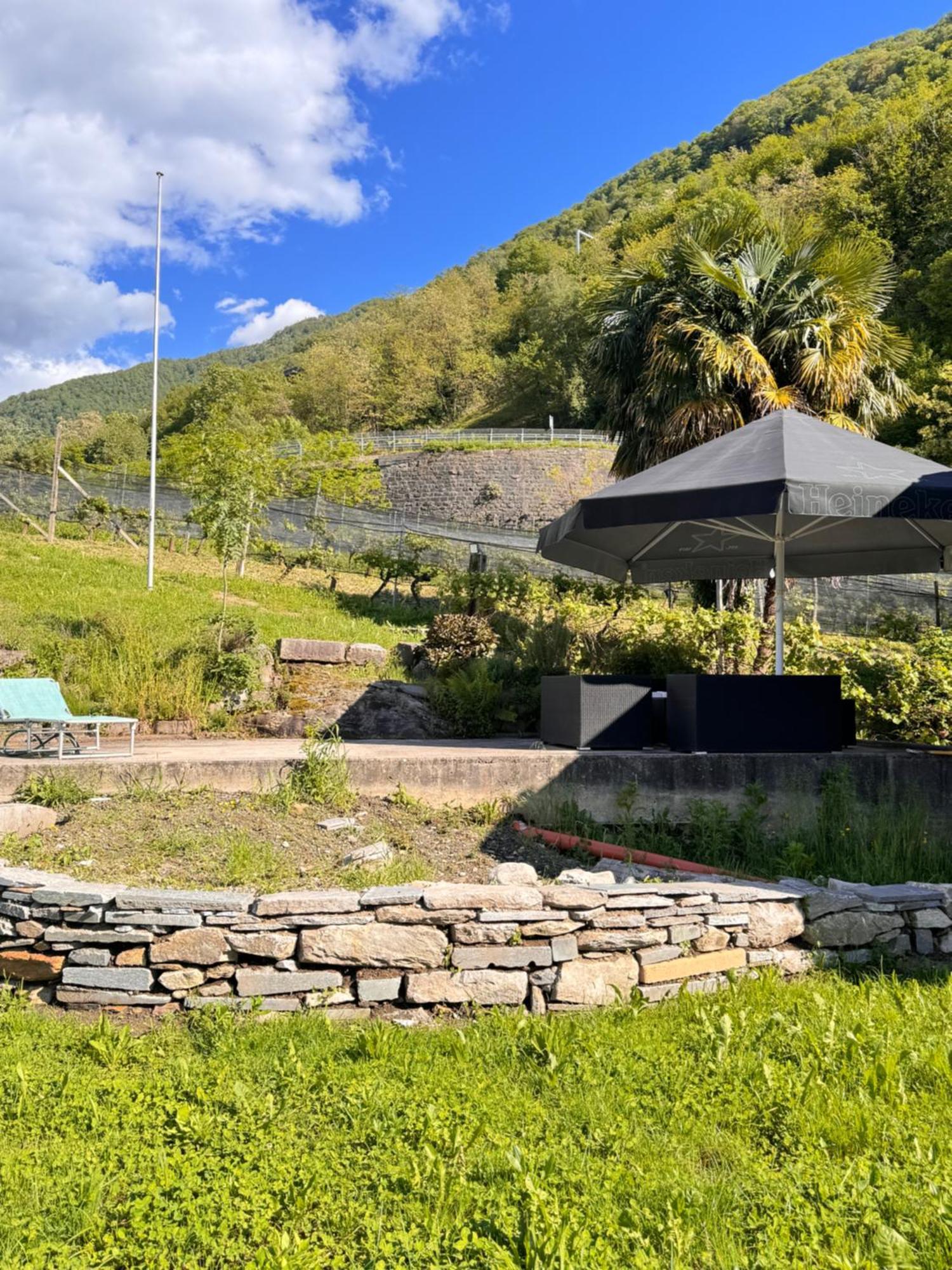 Viva Bacco Bed & Breakfast Gambarogno Bagian luar foto