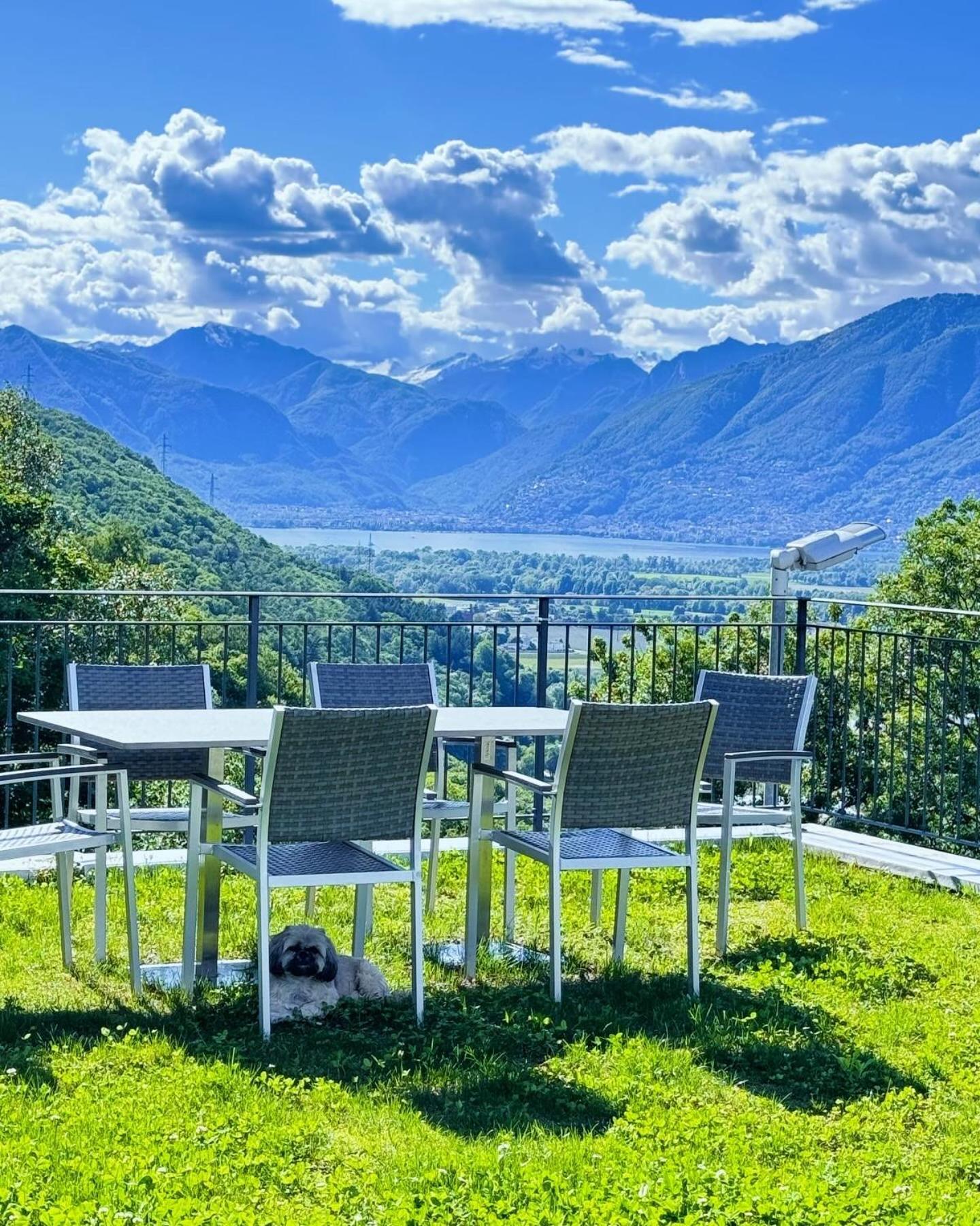 Viva Bacco Bed & Breakfast Gambarogno Bagian luar foto