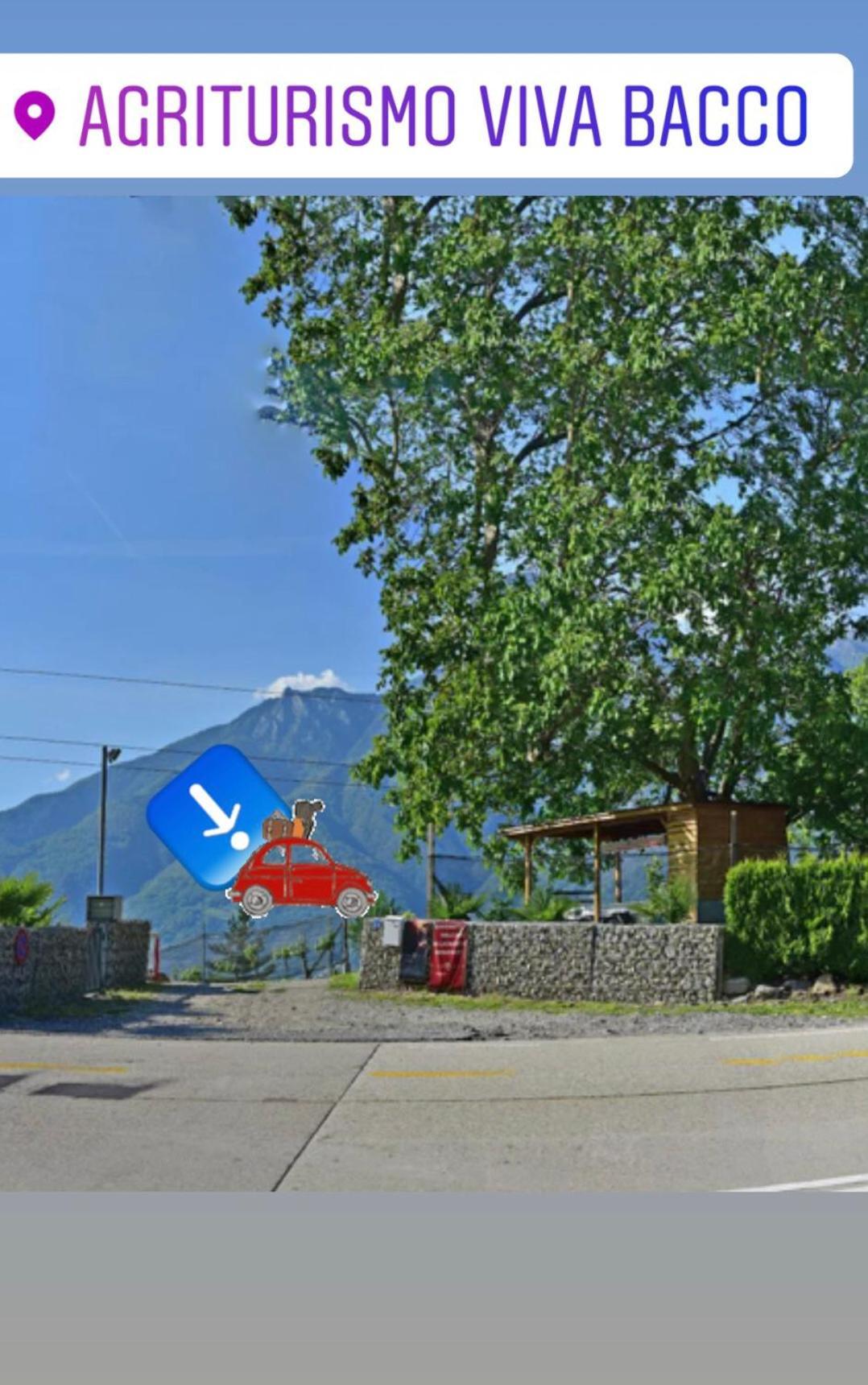 Viva Bacco Bed & Breakfast Gambarogno Bagian luar foto