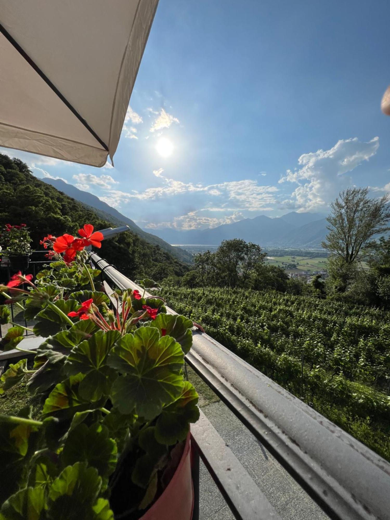 Viva Bacco Bed & Breakfast Gambarogno Bagian luar foto