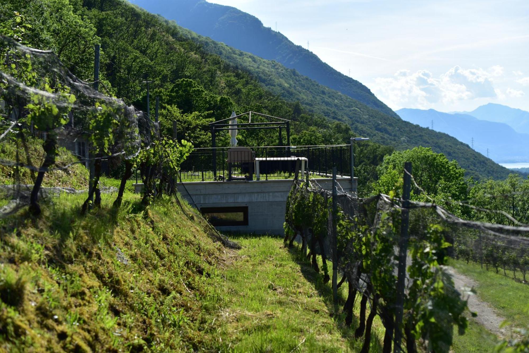 Viva Bacco Bed & Breakfast Gambarogno Bagian luar foto