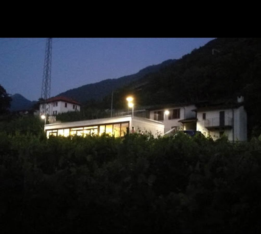 Viva Bacco Bed & Breakfast Gambarogno Bagian luar foto