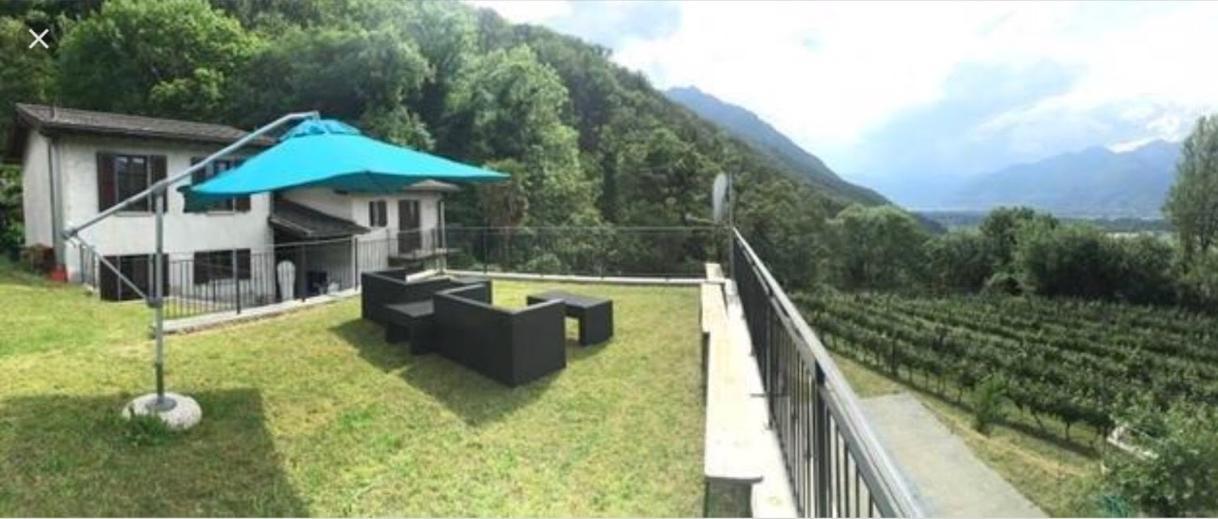 Viva Bacco Bed & Breakfast Gambarogno Bagian luar foto
