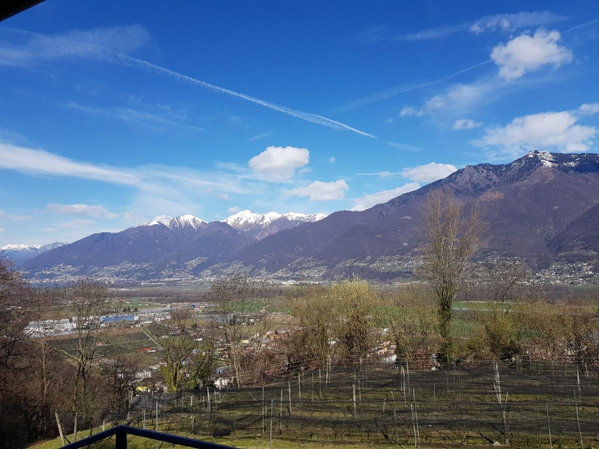 Viva Bacco Bed & Breakfast Gambarogno Bagian luar foto