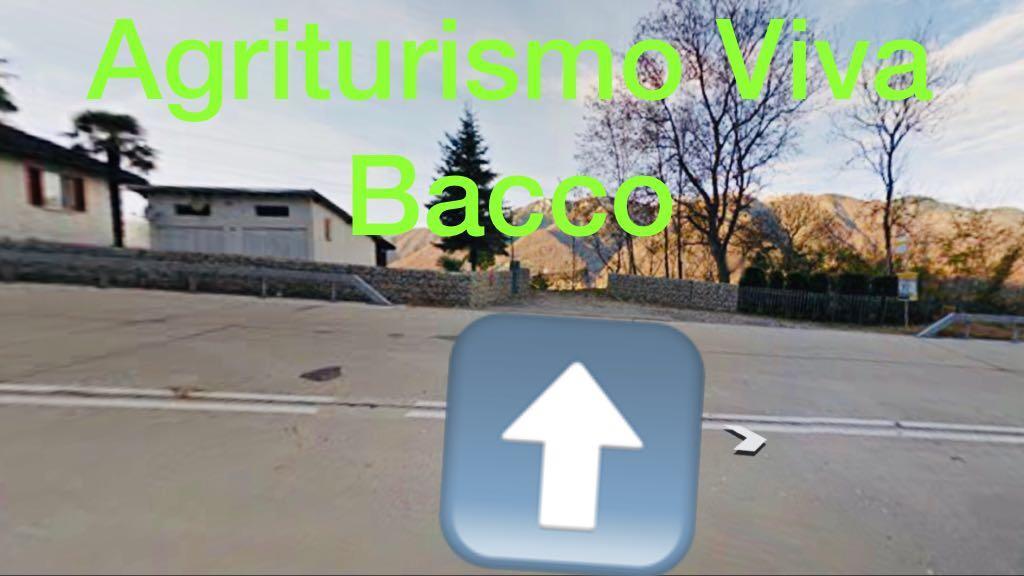 Viva Bacco Bed & Breakfast Gambarogno Bagian luar foto