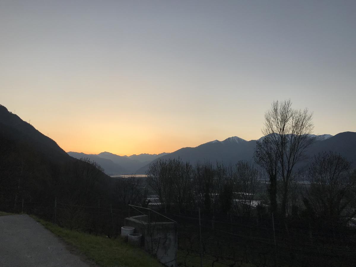 Viva Bacco Bed & Breakfast Gambarogno Bagian luar foto