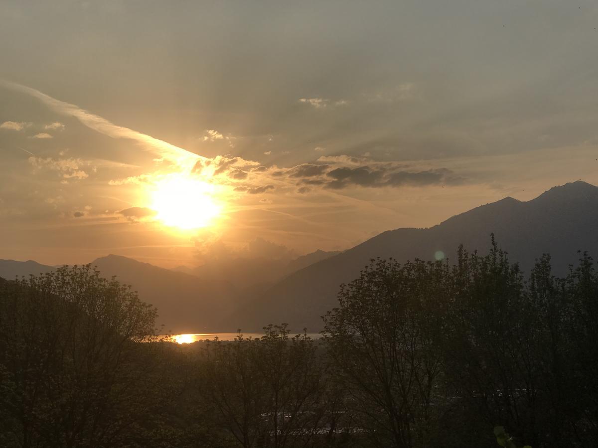 Viva Bacco Bed & Breakfast Gambarogno Bagian luar foto